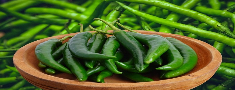 Fresh Red Chili Export