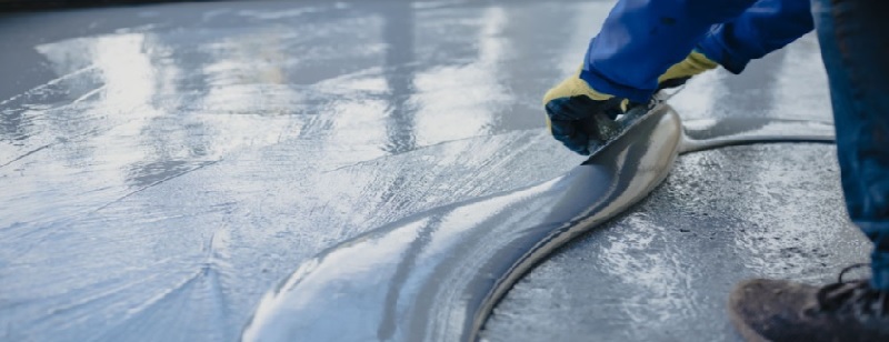 Garlic Export Quality