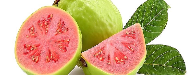 Garlic Export Quality